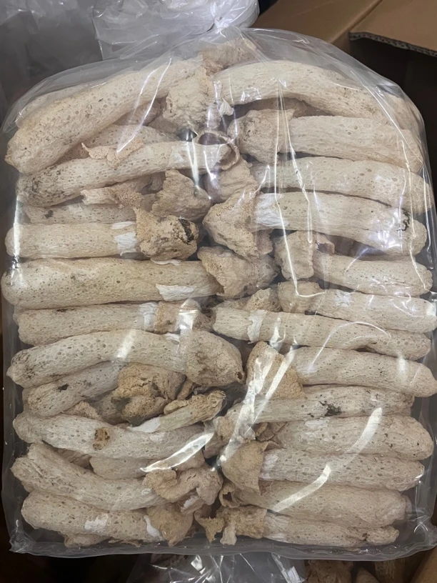 【大海货】美味厚肉竹荪