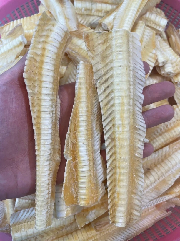 【大海货】鱼刺骨骨