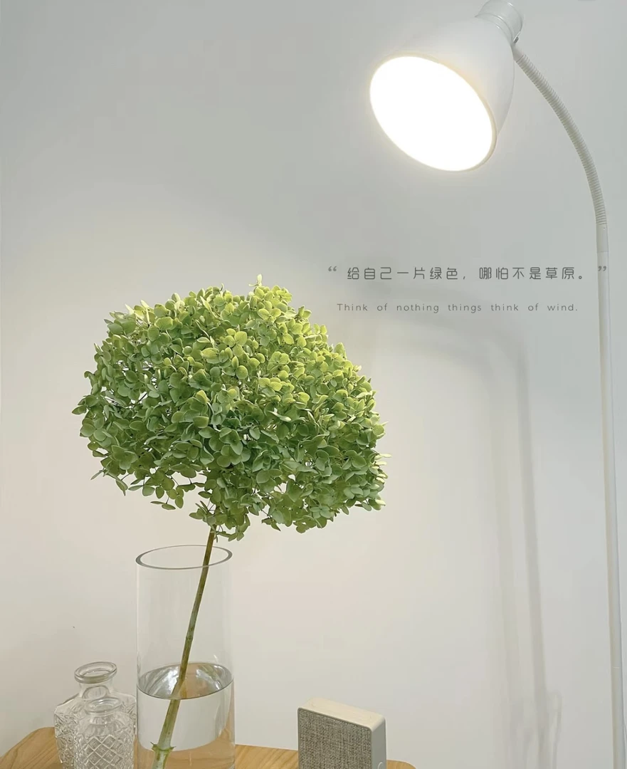 【轶1】绿绣球 和玫瑰一起凑单哦 收到花带包装醒花