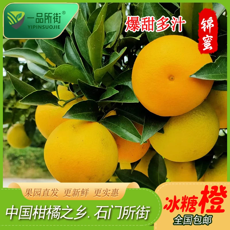 湖南柑橘之乡特产蜜汁冰糖橙橙子
