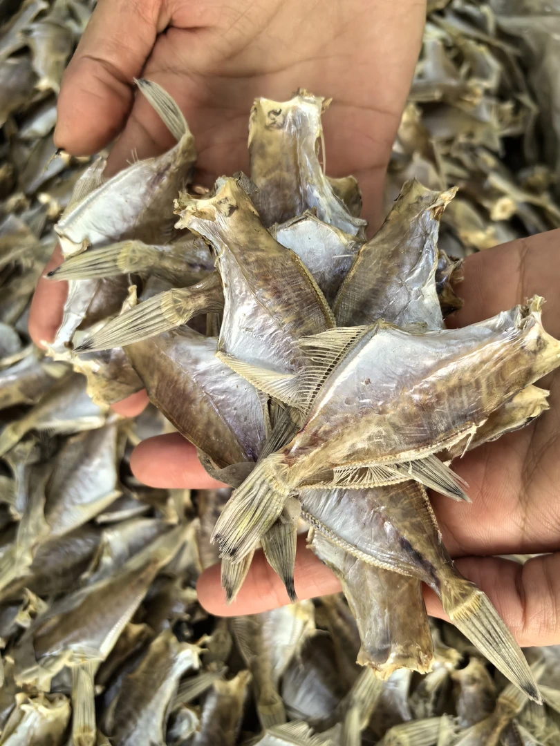 汕尾本港小扒皮迪仔鱼剥皮鱼干货500g