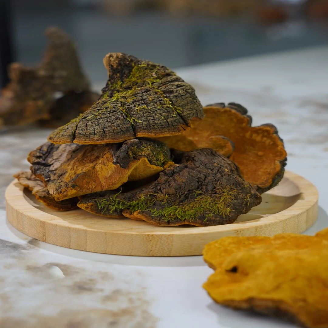 【玉姐精选】 大自然 桑黄煲汤煮水250g/500g 芩