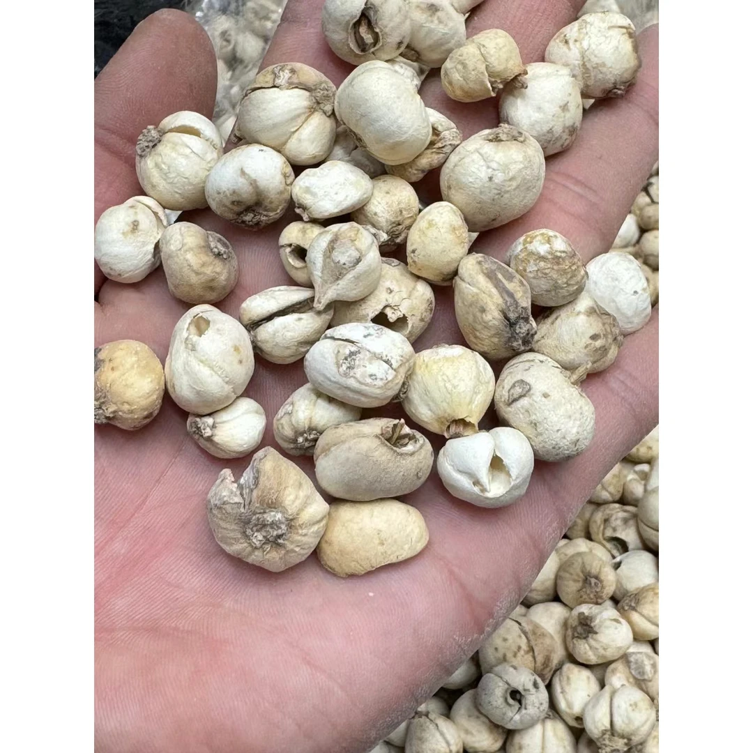 【玉姐精选】高海拔臧呗母纯里予 （非百合）20g/50g