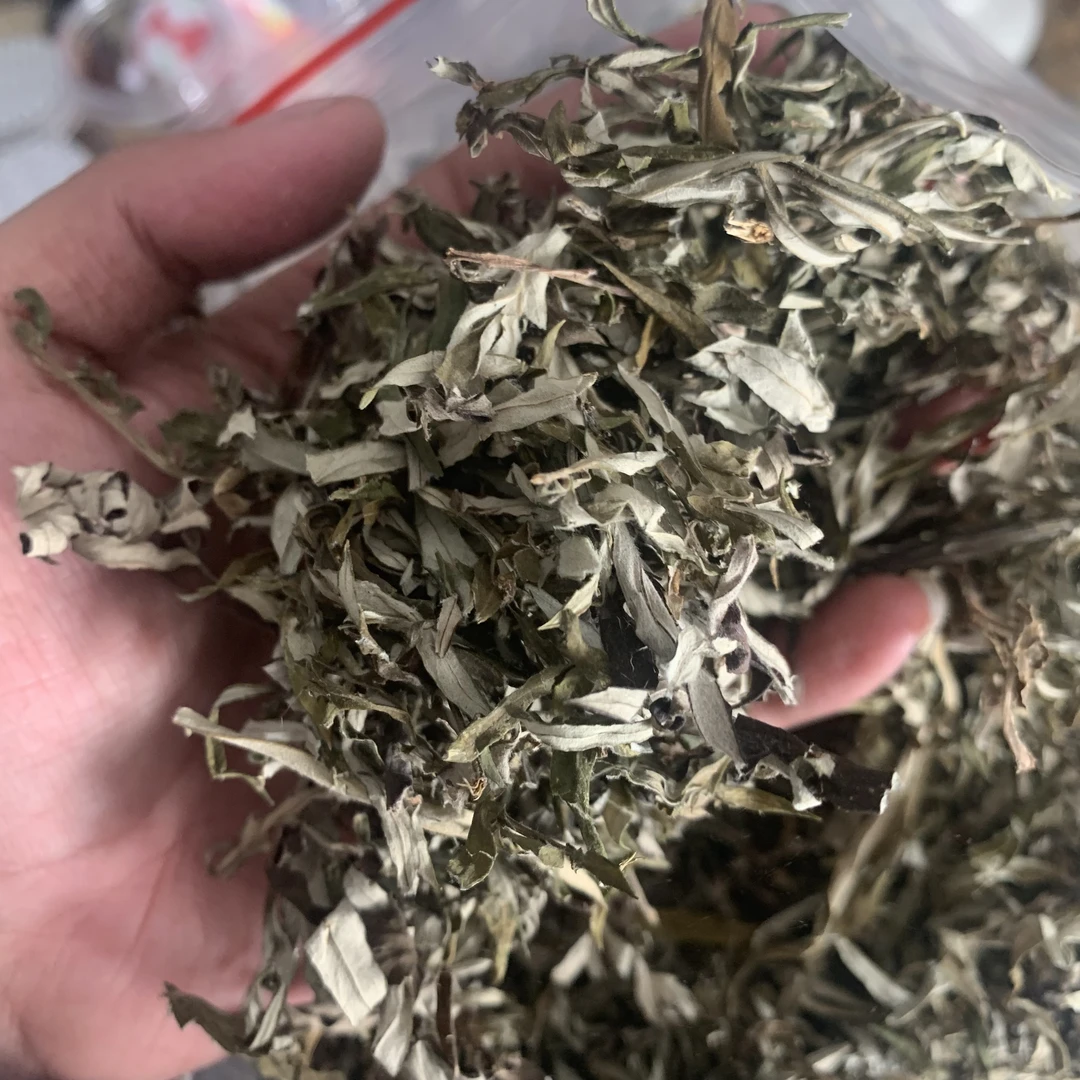【玉姐精选】艾草（甘）泡澡泡脚煮水煲汤材料