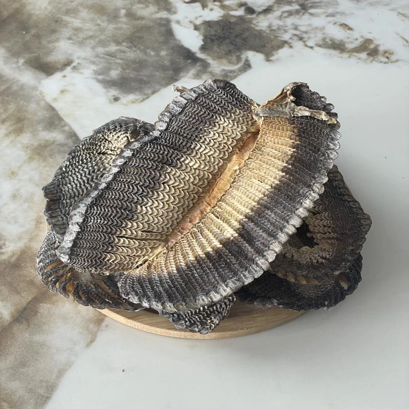 【玉姐精选】特大号断片膨 鱼 筛 清水足干（花鳃）