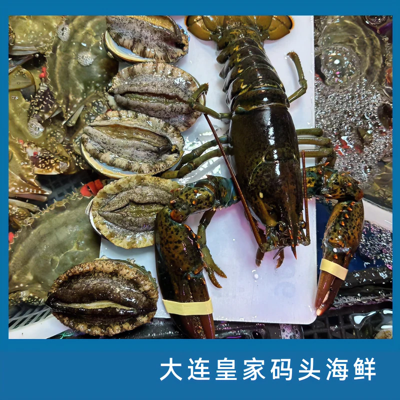 龙虾+鲍鱼 组合