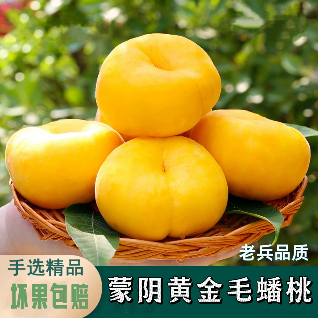 【静静姐专属】正宗沂蒙山 黄金毛蟠桃(放软后再吃)新鲜当季水果