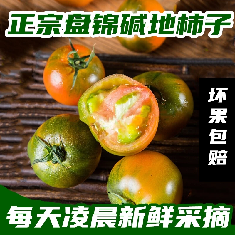 顺丰包邮东北碱地柿子新鲜3-5斤正宗盘锦碱地柿子小柿子铁皮柿子