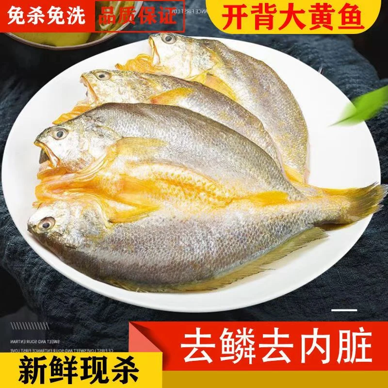 福建宁德霞浦黄鱼鲞大海鱼黄花鱼免杀免洗去鳞去鳃生鲜去内脏