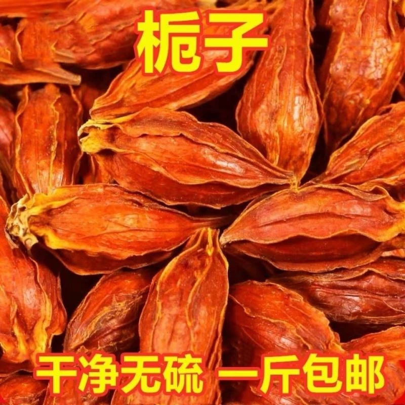 新货栀子果栀子花茶上色食用卤肉大颗野生栀子果黄栀子茶山栀子茶