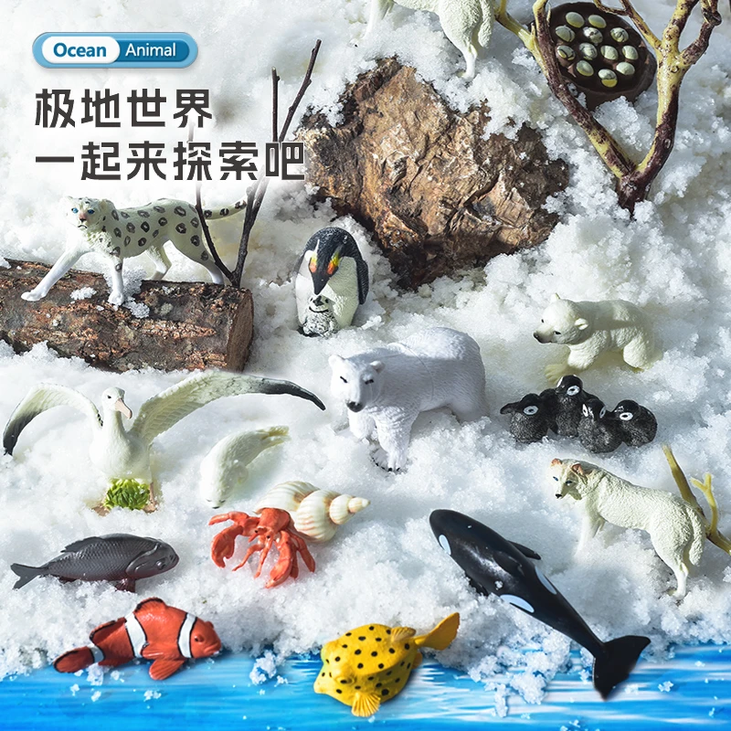 【桌上的海洋世界】海洋世界玩具儿童玩具套装百科认知海洋生物玩具