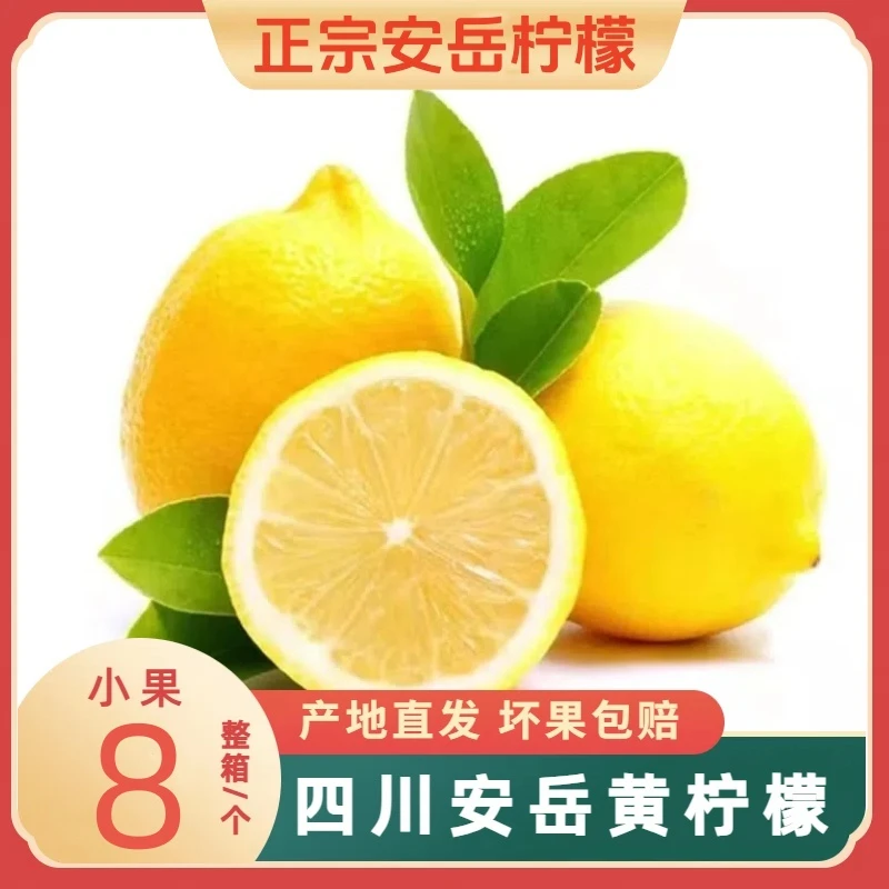 2.9元8个四川安岳黄柠檬当季新鲜水果柠檬皮薄多汁果园直发包邮