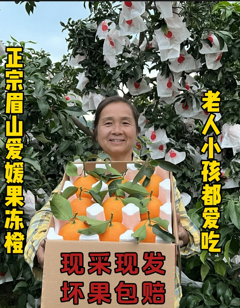 正宗四川爱媛38号果冻橙无核多汁皮薄彩箱5-8斤包邮