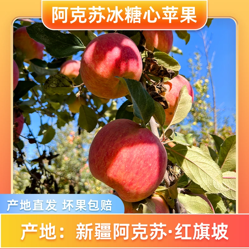 【产地直发】京东包邮阿克苏冰糖心苹果糖心脆甜假一赔十
