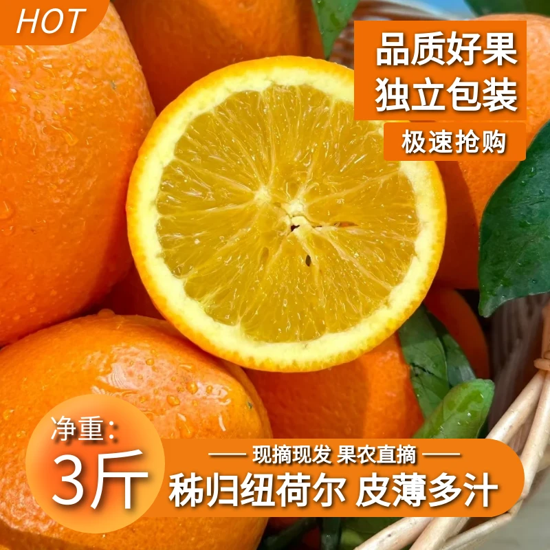 橙子晚春橙脐橙发货爆汁脐橙新鲜自然采摘山货阳光充足纽荷尔3斤