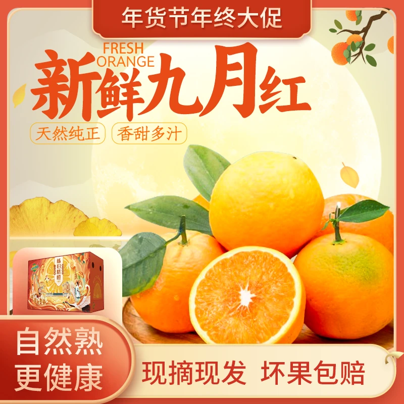 橙子水果果冻橙新鲜农家种植发货天然阳光采摘皮薄细腻2/5/9斤