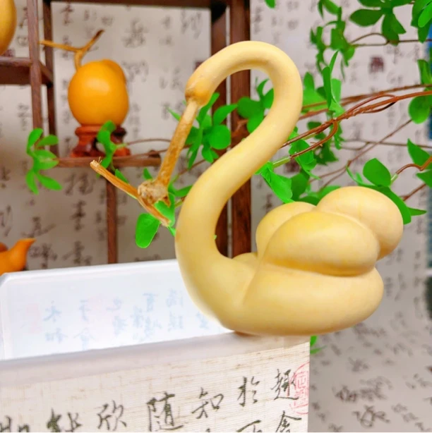 （勿自拍）直播间专拍链接蚂蚁八宝胖墩天鹅葫芦