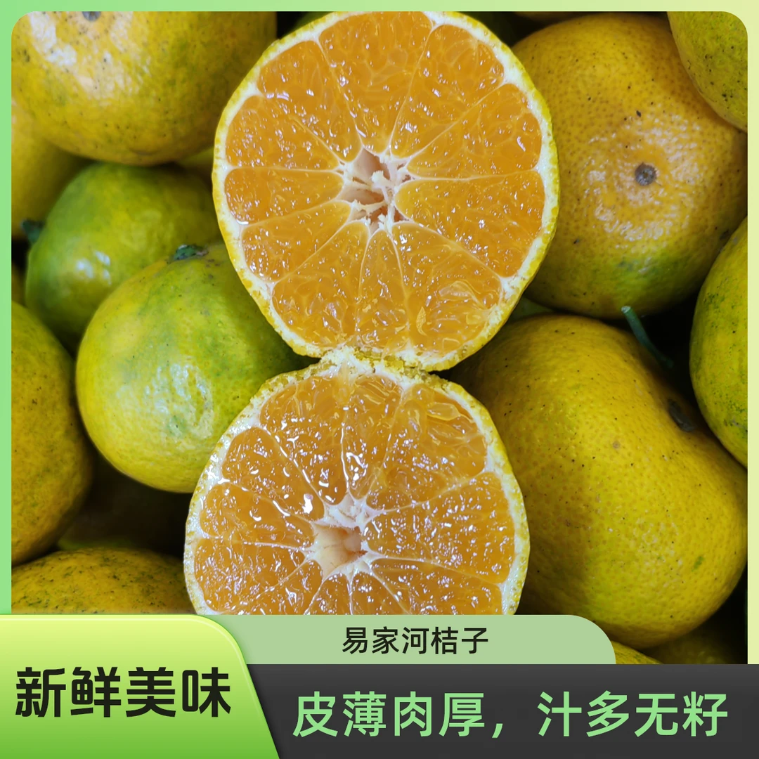 正宗庐山西海易家河高山蜜桔薄皮汁多无籽