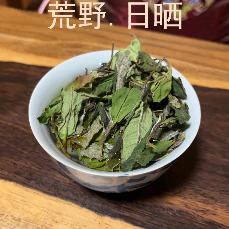 邵吉号福鼎白茶磻溪深山荒野春寿眉福鼎白茶