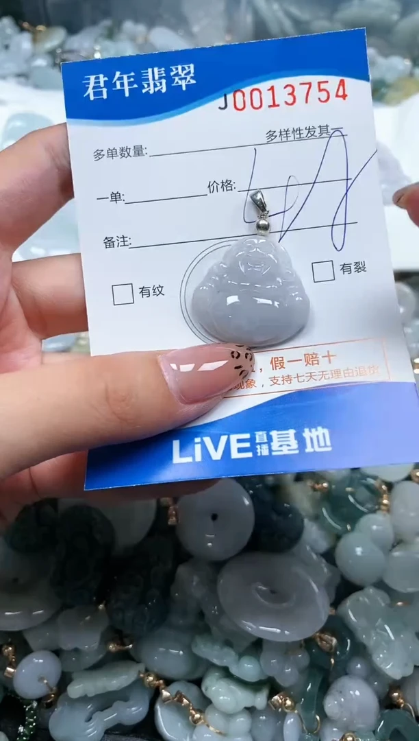 【闪购商品】翡翠颈饰未镶嵌直播闪购0013754