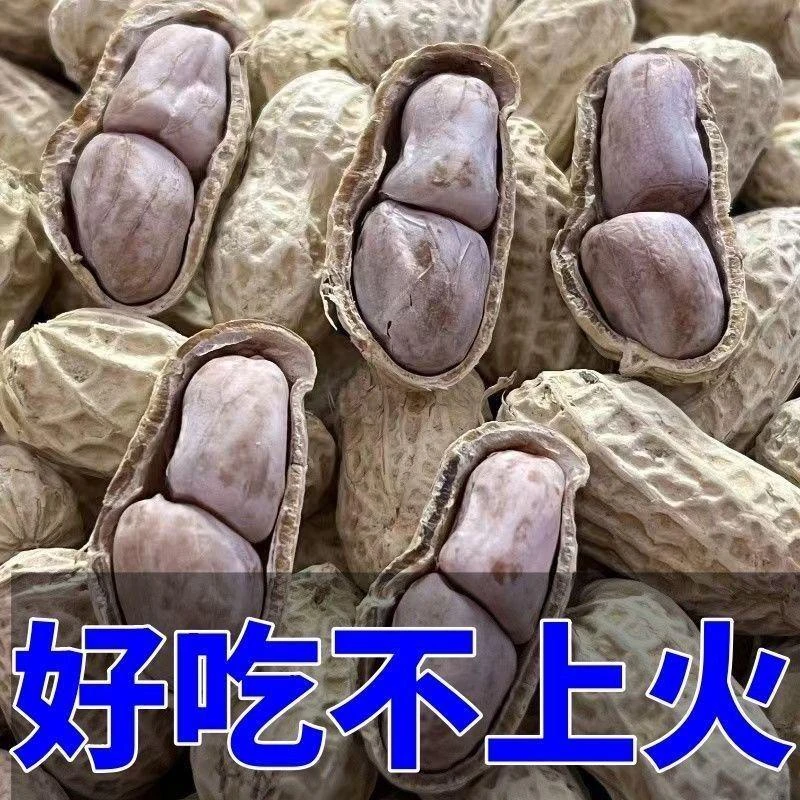 广东新水煮白皮花生农家天然晒干咸味咸干红皮带壳花生休闲零食