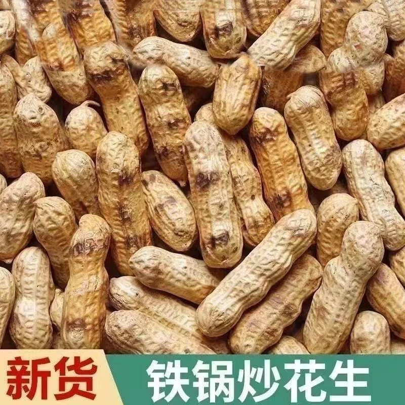 广东河源特产农家花生柴火手工炒花生带壳原味咸干沙炒小颗粒铁锅