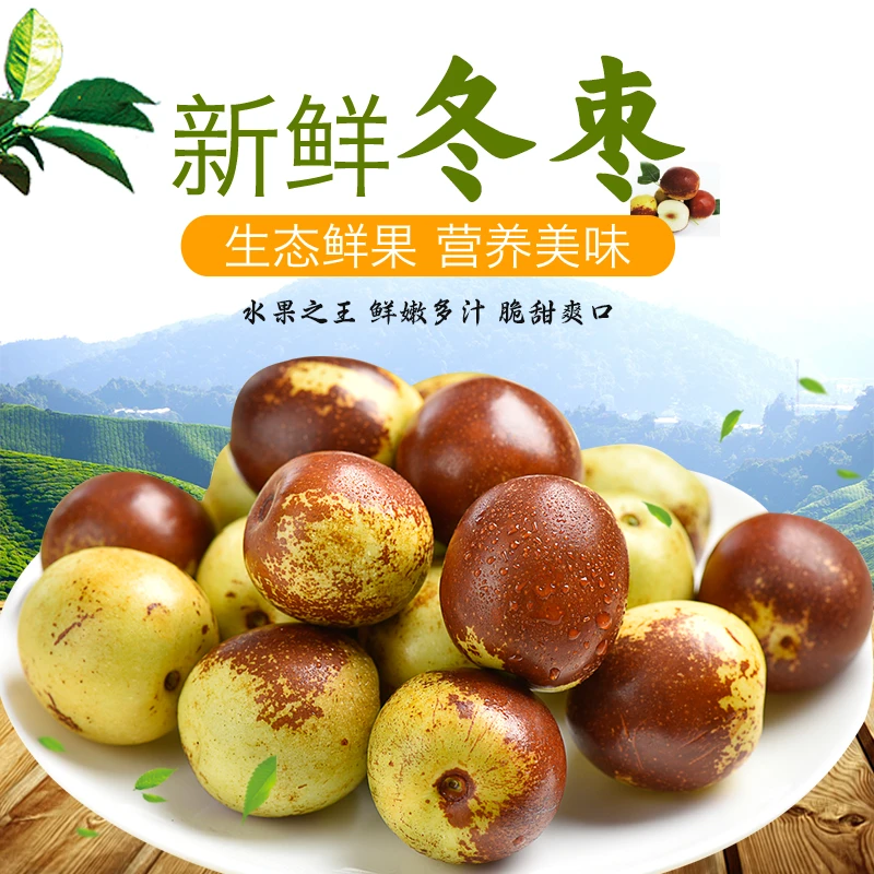 【臻果园】新鲜冬枣 当季水果 拍小发中 脆甜多汁 现摘现发 5斤包邮