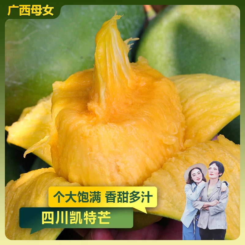 【凯特芒】正宗四川攀枝花芒果大青芒新鲜当季水果产地直发3/4.5斤G