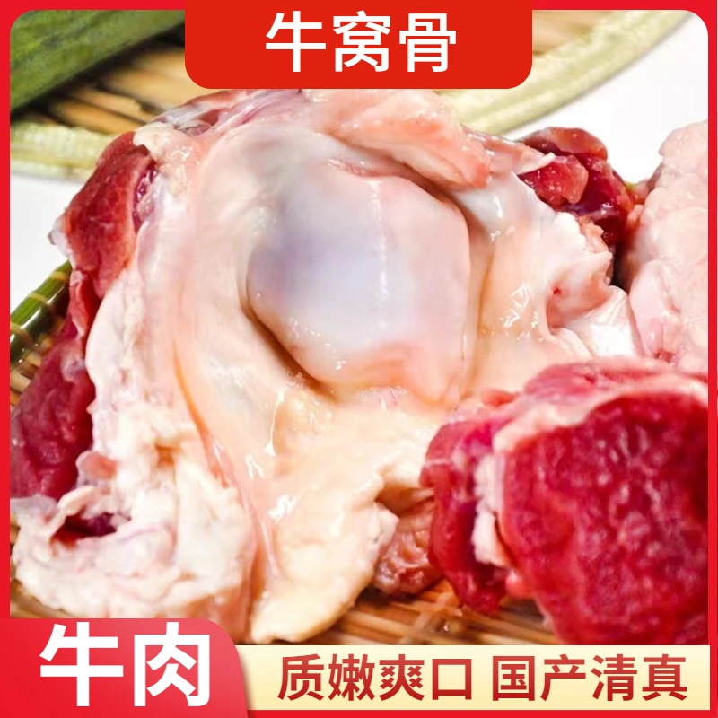 【牛窝骨】4斤新鲜清真原切散生鲜牛牛膝盖骨牛胸口油商用牛肉