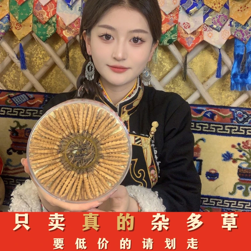 【顿珠推荐】3根/克100根黄色冬虫夏草礼盒装年货 正品虫草支持鉴定