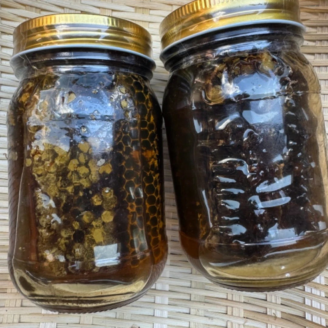 ZX 高山 农家 蜂巢蜜 老巢蜜 2