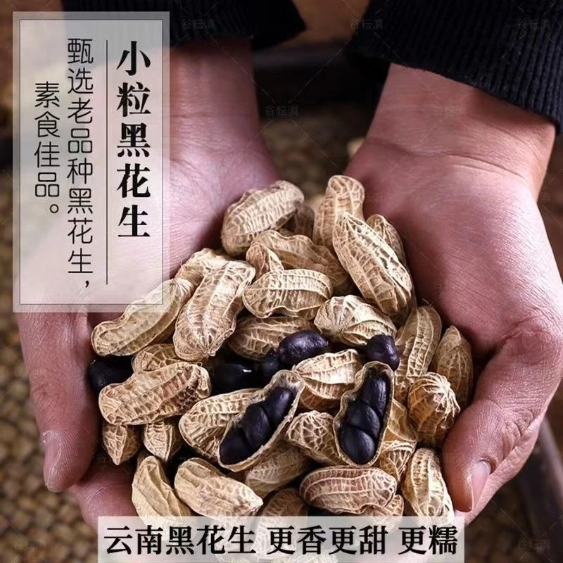 【新鲜日期】云南富硒黑花生带壳花生农家自产黑皮原味香甜香酥美味