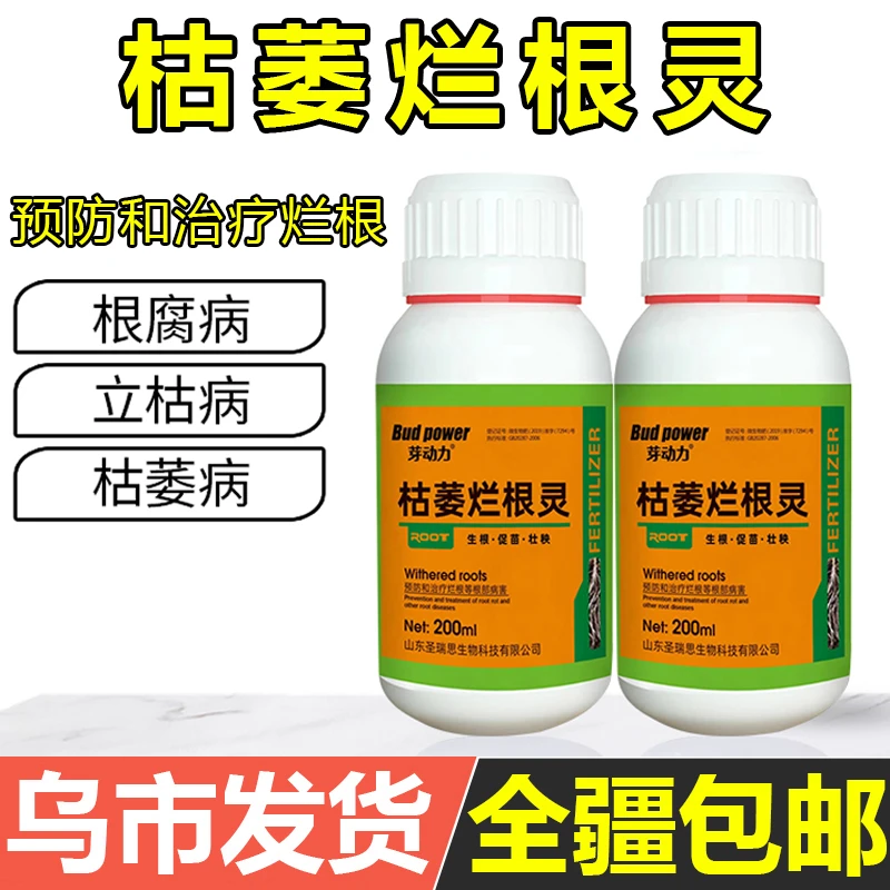 植物枯萎烂根灵专用君子兰花根部浇水引起烂根腐立枯根系弱不长根