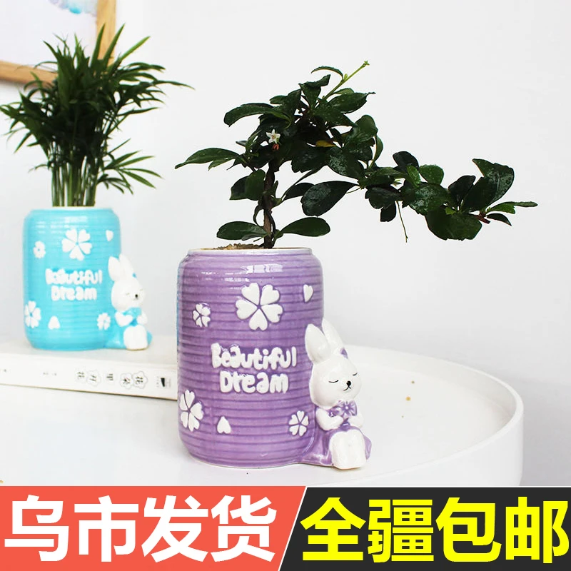 少女心可爱白兔创意陶瓷花盆高颜值多肉老桩绿植桌面盆栽