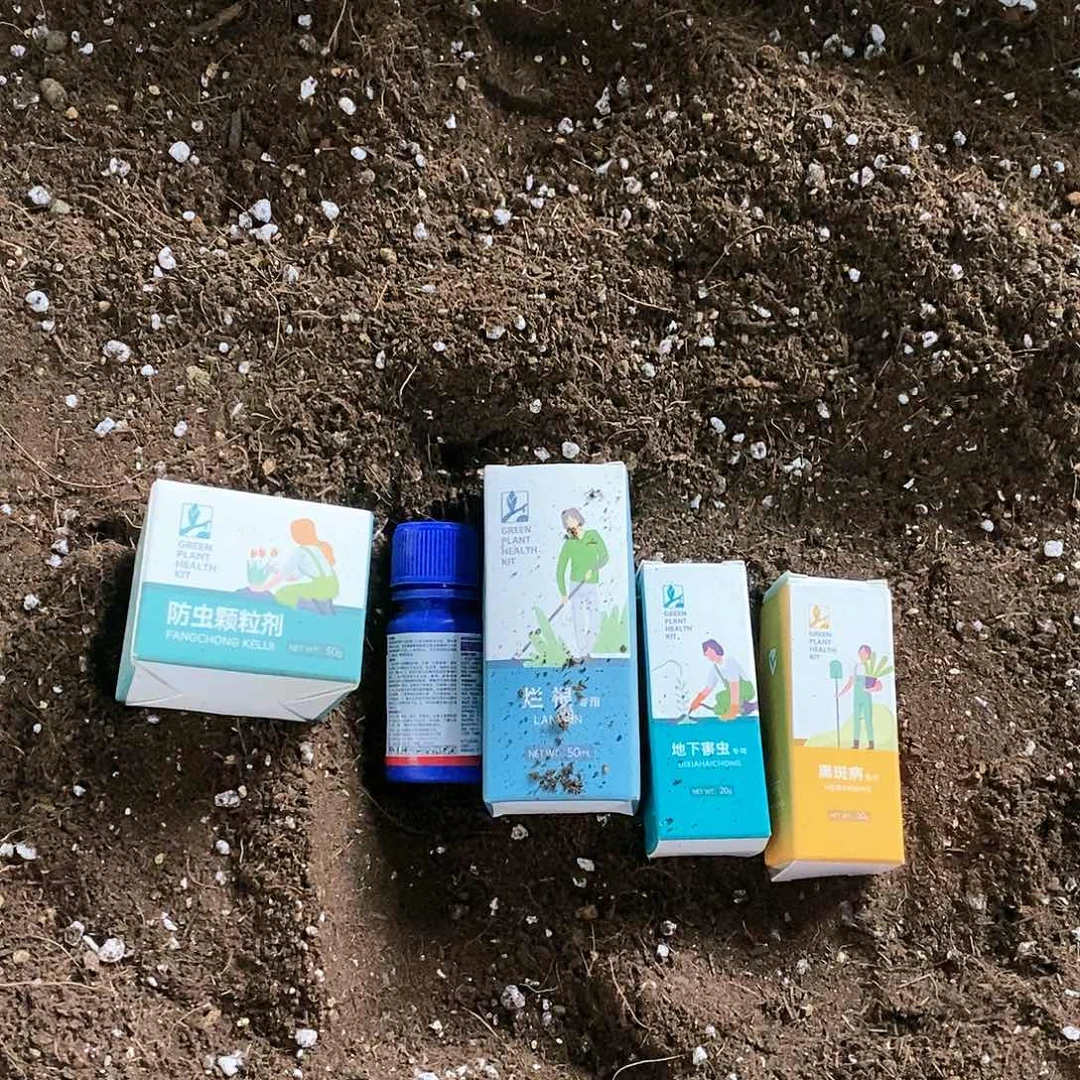 红陶20CM以下小黑飞5件套