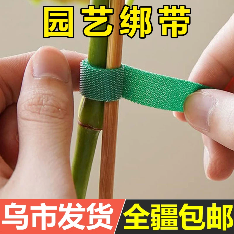 园艺扎线捆绑用支撑插花固定爬藤绿植造型魔术贴花园带强力双面粘