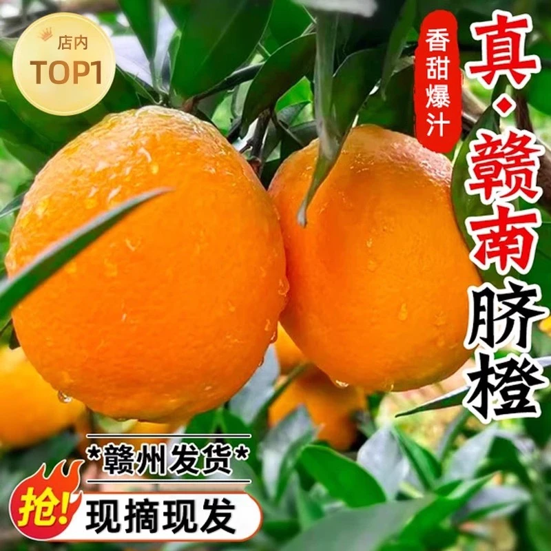 江西赣南脐橙新鲜水果多汁甜美橙子当季现摘
