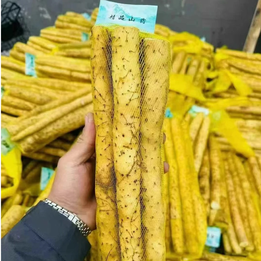 【果乐多甄选】小白嘴山药一份1包装