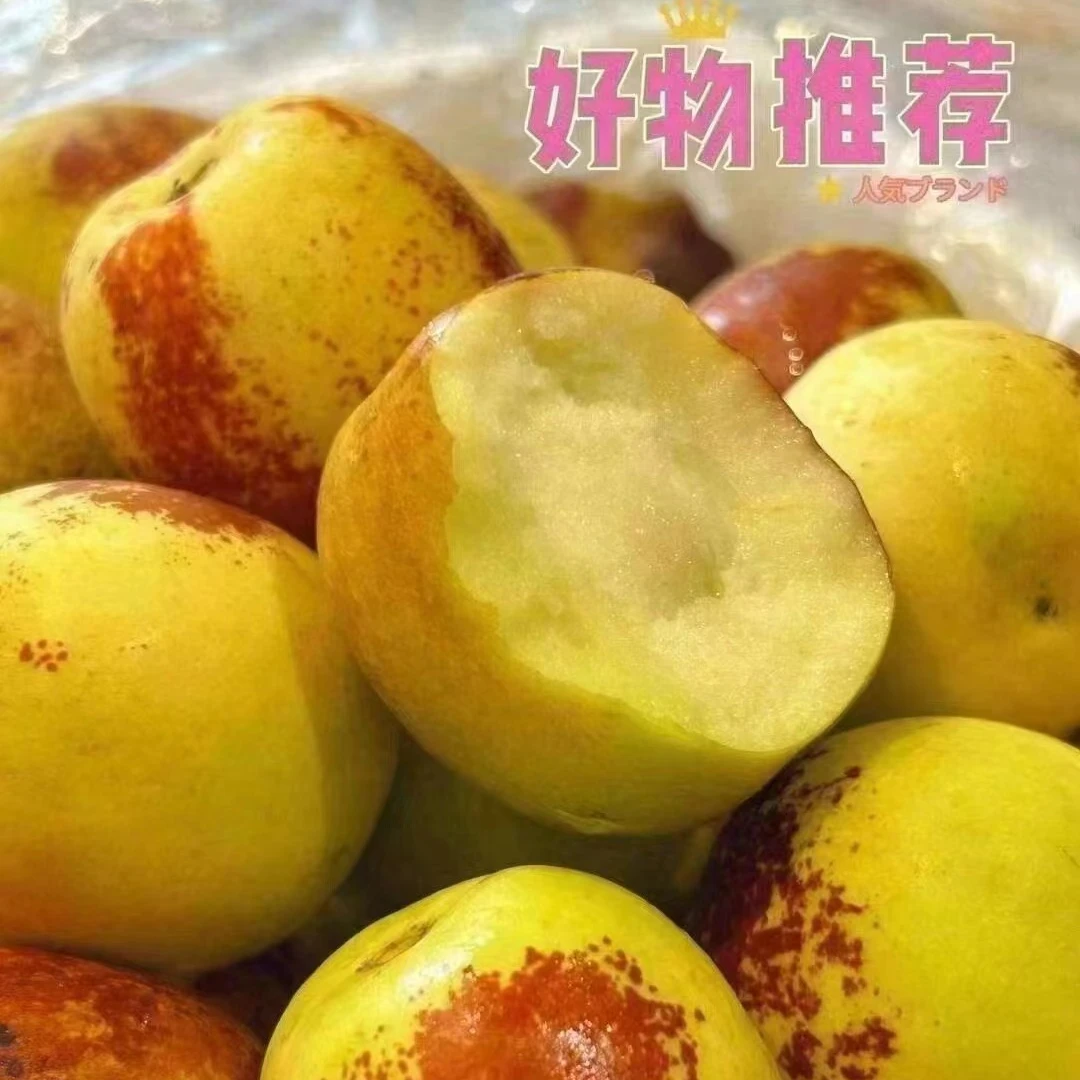 【果乐多甄选】陕西大荔冬枣一箱3斤左右