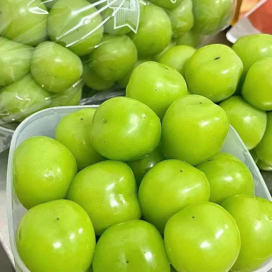 【果乐多甄选】精品阳光玫瑰葡萄一箱