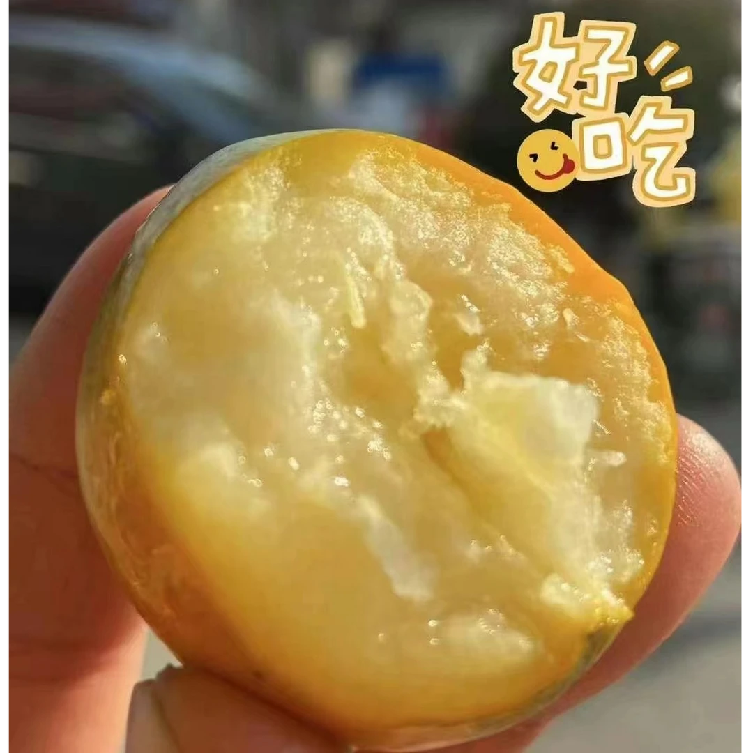 【次日达】融安糖豆金柑一箱