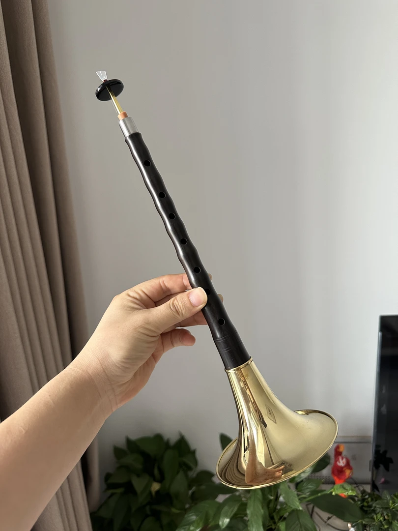 专业乌木唢呐乐器d调乌木黑檀红木初学者入门成人D调唢呐民间唢呐
