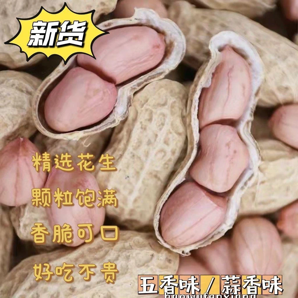 农家新货五香花生蒜香味花生带壳咸脆花生休闲家常小零食炒货批发