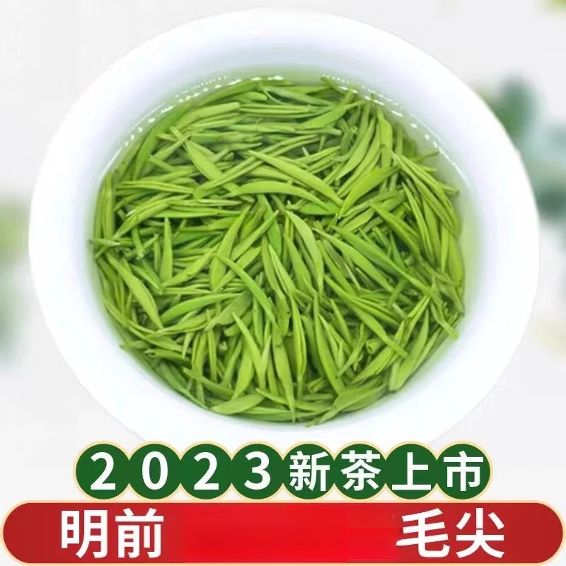 【大份两斤装】毛尖绿茶2023新茶明前嫩芽散装