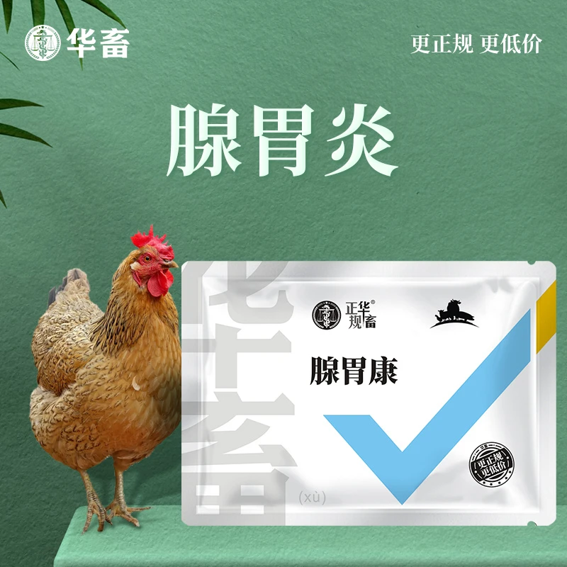 Z【低至9.98/袋】禽用腺胃康100g 家禽腺胃 耐胃酸改善肠道环境