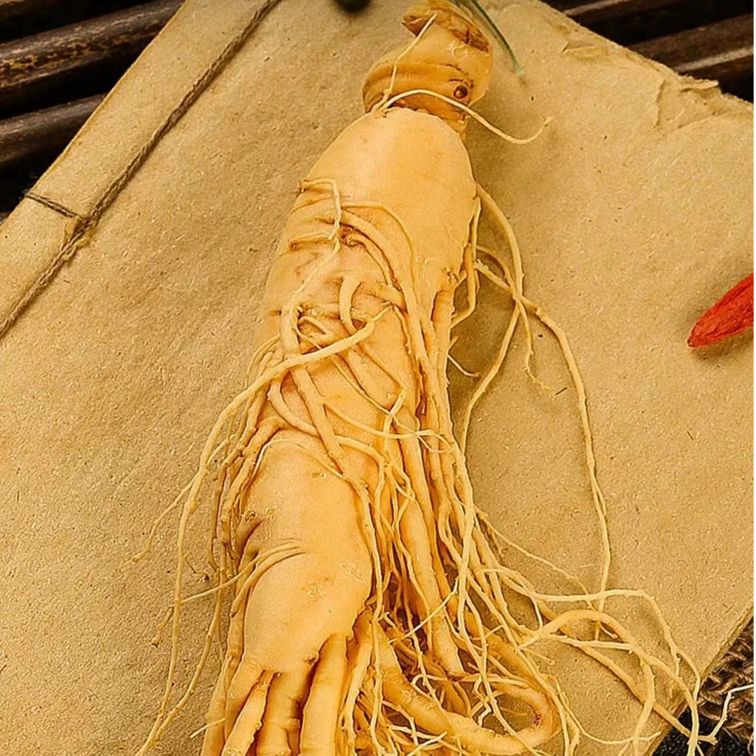 长白山人参保鲜人参泡酒推荐，可泡10-20斤