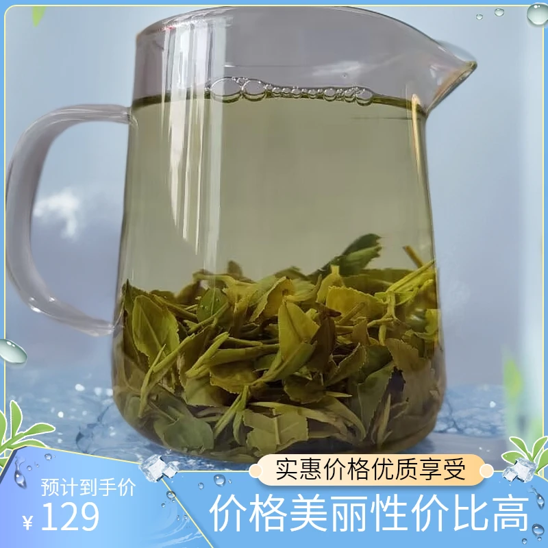 2024年日照绿茶新茶一芽一叶