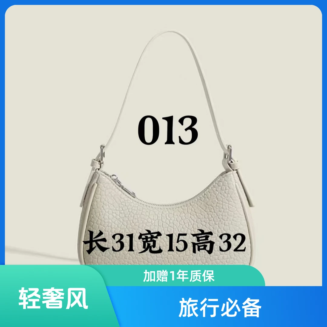 FF 013 2024 爆款  旅行 轻奢 百搭 单肩双肩背包 307#