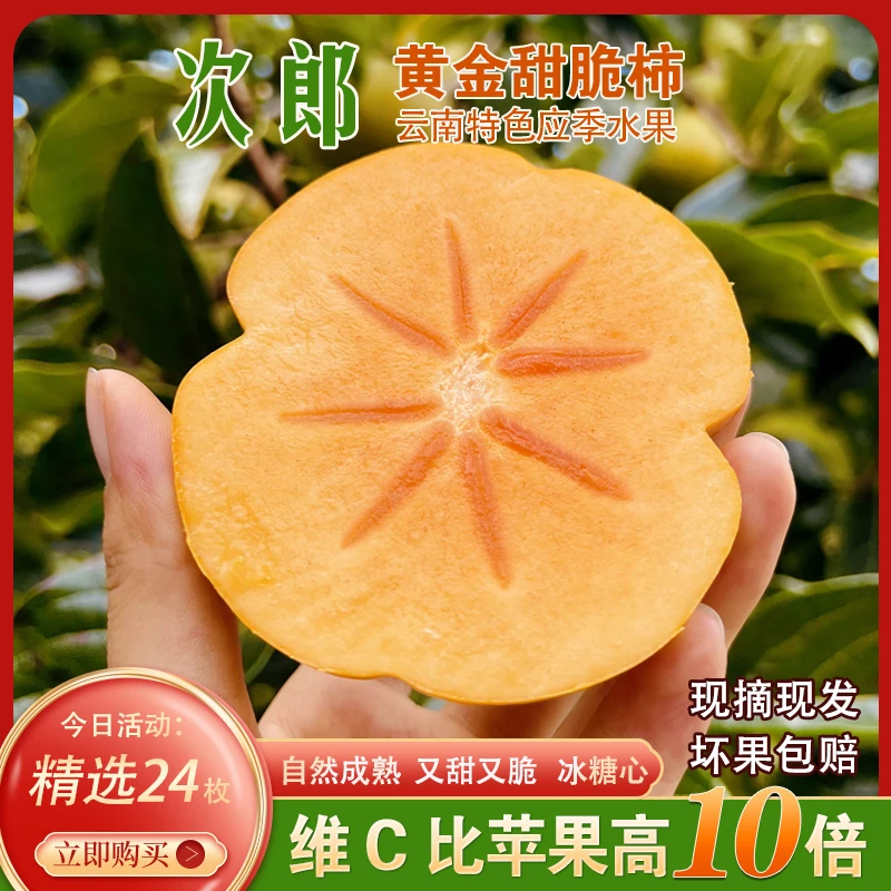 【脆柿头茬果】新鲜现摘云南糖心甜脆柿子应季水果甜脆柿中秋节礼
