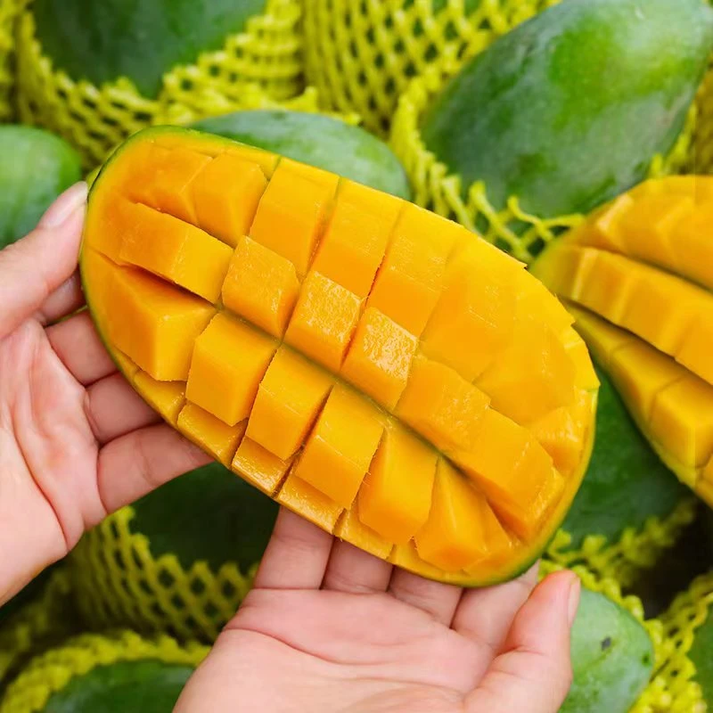 好吃的芒果越南玉芒大青芒香甜包邮3/5/9斤新鲜快递包邮多汁香甜